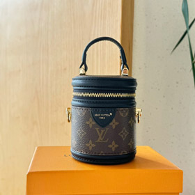 Louis Vuitton LV Mini Fortune Bucket Crossbody Borsa-4041
